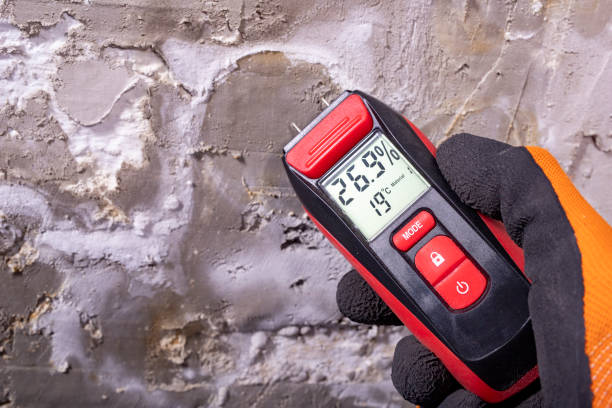 Trusted Apple Valley, CA Mold Remediation Experts